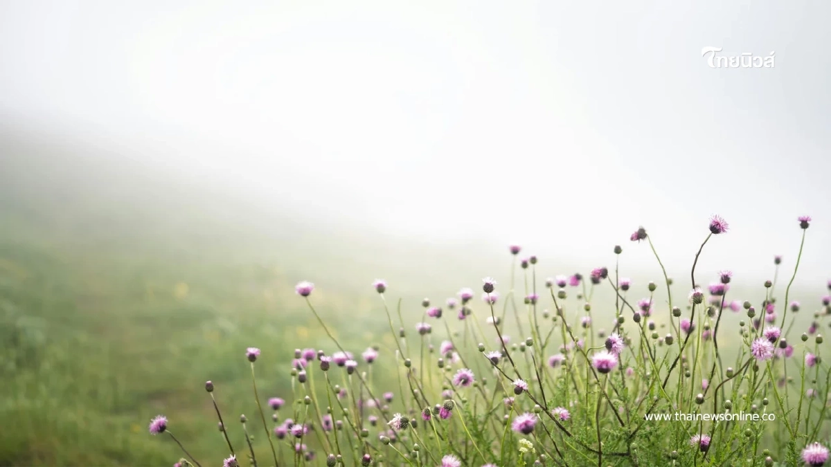 "กรมอุตุฯ เตือนมวลอากาศเย็นจากจีนแผ่ปกคลุมไทยตอนบน"