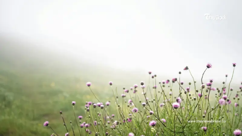 "กรมอุตุฯ เตือนมวลอากาศเย็นจากจีนแผ่ปกคลุมไทยตอนบน"