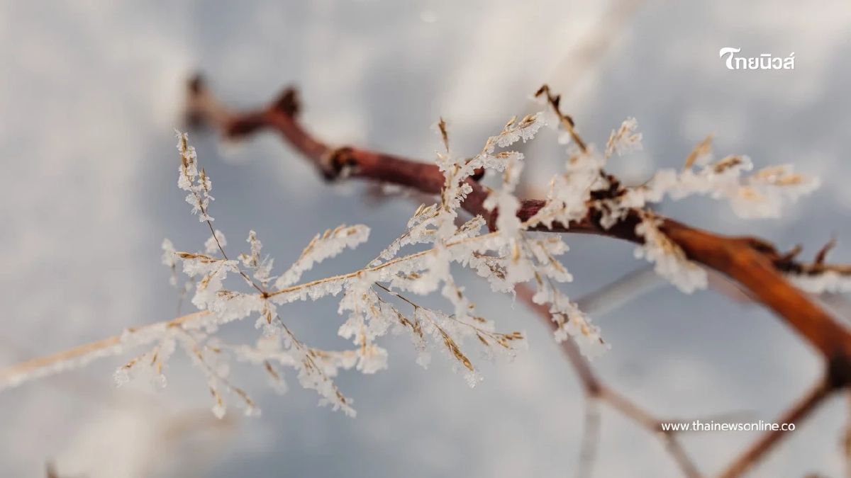 ไทยยังหนาว แต่ไม่พีคเท่าที่ผ่านมา อัพเดท พายุโคโตะ ไม่กระทบไทย