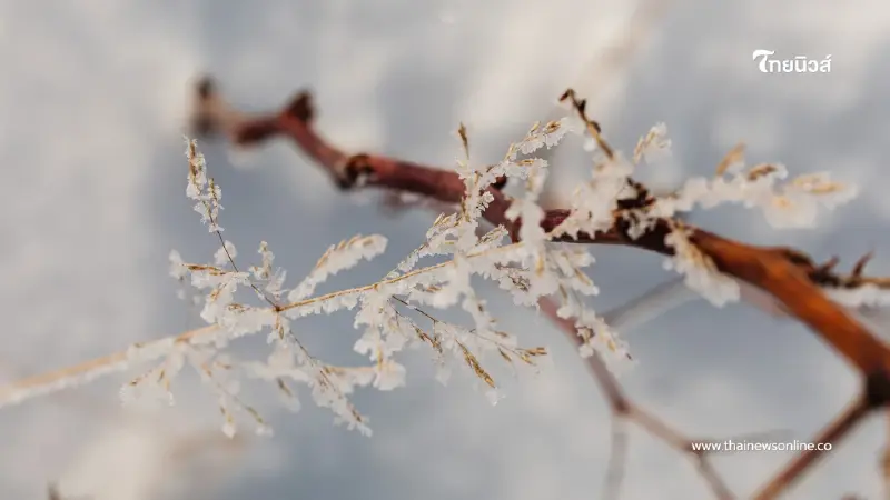 ไทยยังหนาว แต่ไม่พีคเท่าที่ผ่านมา อัพเดท พายุโคโตะ ไม่กระทบไทย