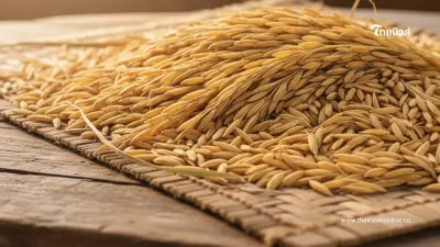 ทางรอดชาวนาไทย ดัน "ข้าวคาร์บอนต่ำ" 1 ล้านไร่ ลดต้นทุน เพิ่มผลผลิต