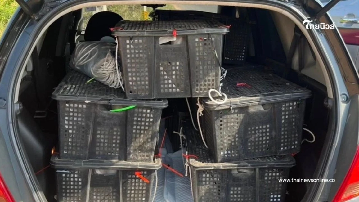 รวบชาวกัมพูชา ลักลอบขนลิงแสมข้ามชาติ ช่วยชีวิตได้ 63 ตัว