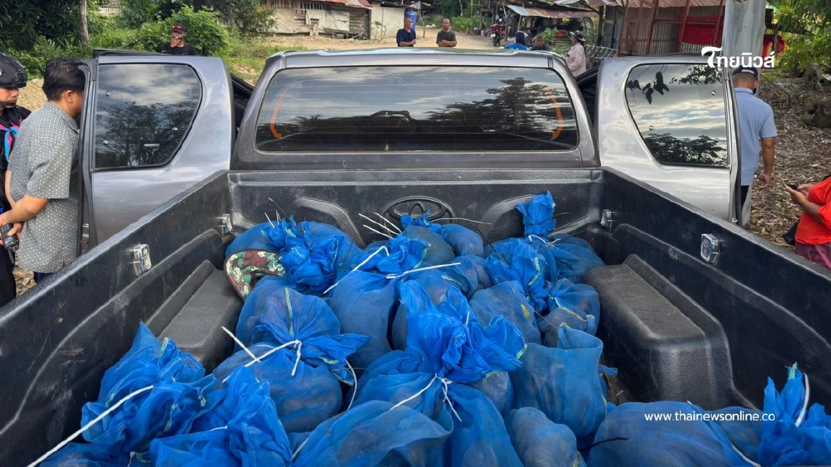 ไล่ล่ากลางชายแดน! รวบ 2 ผู้ต้องหาขนลิงแสม 81 ตัว ทิ้งรถหนีลงน้ำ ไล่ล่ากลางชายแดน! รวบ 2 ผู้ต้องหาขนลิงแสม 81 ตัว ทิ้งรถหนีลงน้ำ