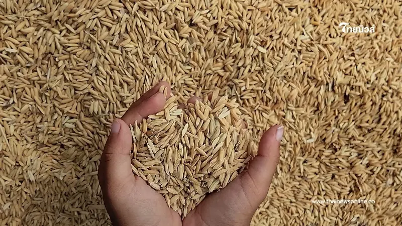 รัฐบาลตั้งเป้าดันราคาข้าวเปลือกแตะ 15,000 บาทต่อตัน มอบเป็นของขวัญให้เกษตรกร