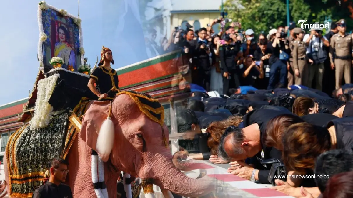 ขบวน คชสารคู่แผ่นดิน 11 เชือก น้อมถวายบังคมพระบรมศพ สมเด็จพระบรมราชชนนีพันปีหลวง ขบวน คชสารคู่แผ่นดิน 11 เชือก น้อมถวายบังคมพระบรมศพ สมเด็จพระบรมราชชนนีพันปีหลวง