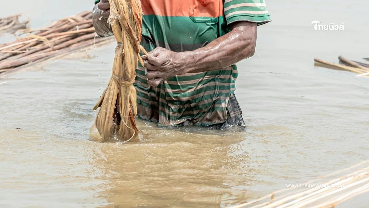 สรุป 5 โรคฮิตที่มาพร้อม "น้ำท่วม 2568" วิธีป้องกันง่ายๆ ที่ทุกคนต้องรู้