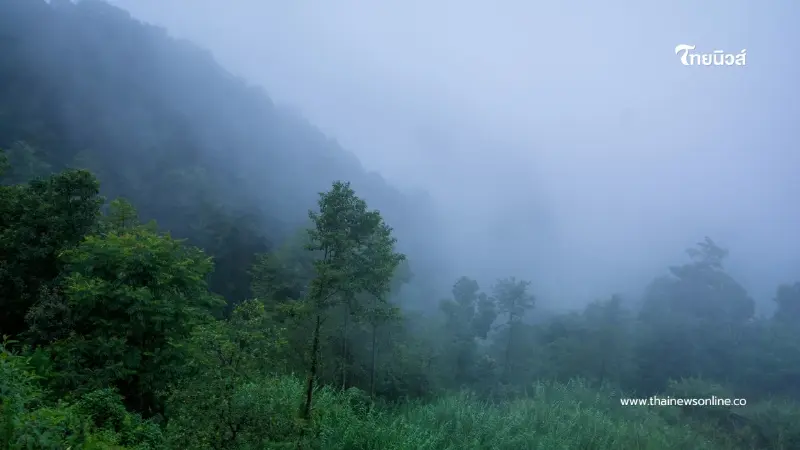 อากาศเย็นเริ่มกลับมา! เหนือ-อีสานสัมผัสลมหนาว ใต้ยังฝนฟ้าคะนอง