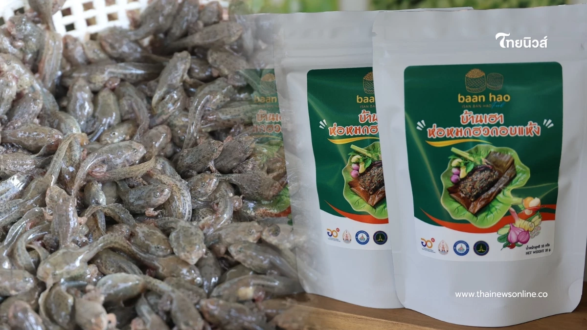 จากบ่อสู่แบรนด์ ดันแปรรูป "ลูกอ๊อด-กบ" รายได้งาม ลุยตลาดอาเซียน