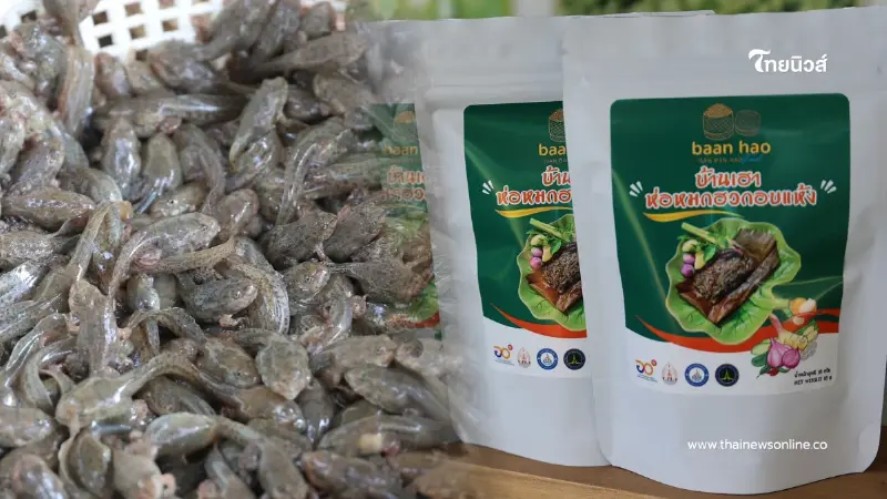 จากบ่อสู่แบรนด์ ดันแปรรูป "ลูกอ๊อด-กบ" รายได้งาม ลุยตลาดอาเซียน