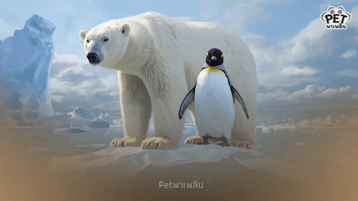 เปิดความจริง! หมีขั้วโลกกับเพนกวินไม่มีวันเจอกันตามธรรมชาติ เปิดความจริง! หมีขั้วโลกกับเพนกวินไม่มีวันเจอกันตามธรรมชาติ