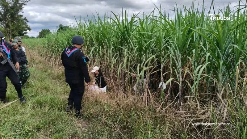 สกัดจับ 4 คนไทยกลางไร่อ้อยชายแดนสระแก้ว สารภาพถูกชักชวนทำงาน สกัดจับ 4 คนไทยกลางไร่อ้อยชายแดนสระแก้ว สารภาพถูกชักชวนทำงาน
