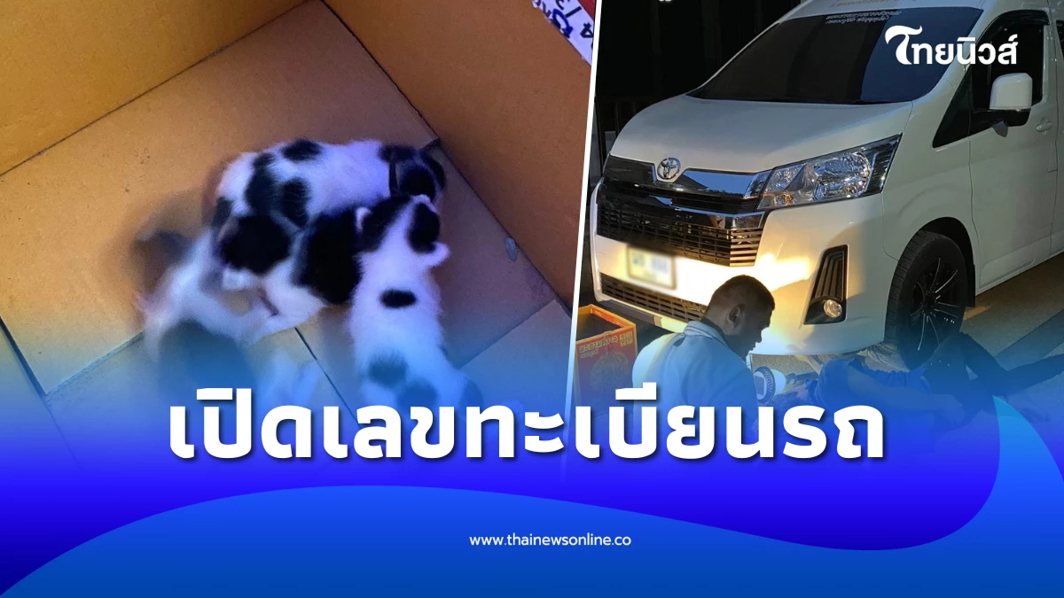 ทะเบียนรถพระเกจิดัง หลวงปู่จื่อ หลังแม่แมวมาคลอดลูกใต้ท้องรถ | ไทยนิวส์