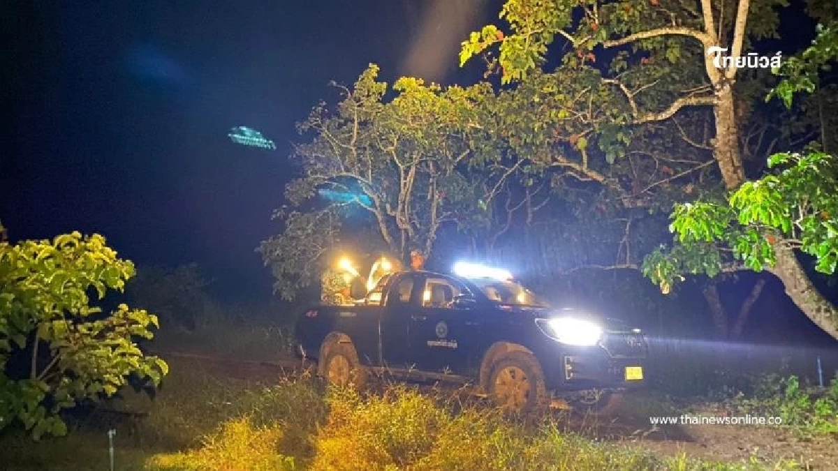 เจ้าหน้าที่เขาแผงม้าผลักดันอ้อยหวานช้างป่าเพศเมีย กลับเข้าป่า เจ้าหน้าที่เขาแผงม้าผลักดันอ้อยหวานช้างป่าเพศเมีย กลับเข้าป่า