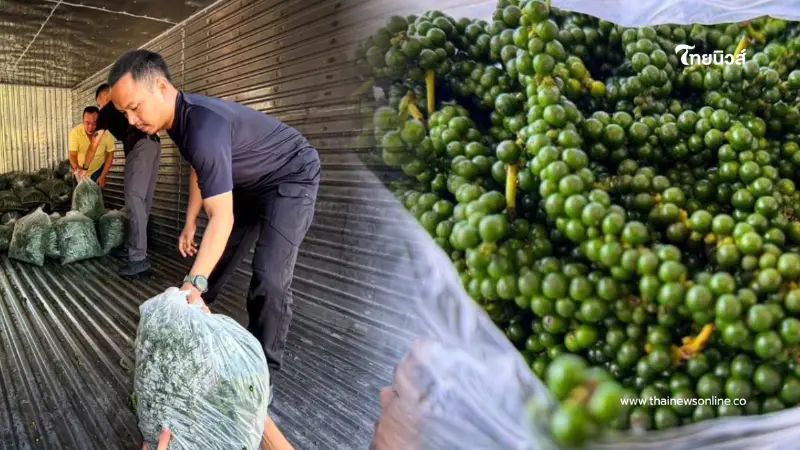 จับพริกไทยอ่อนเขมร 4 ตัน ลักลอบเข้าไทย คาดนำสวมสิทธิ์ขายต่อ