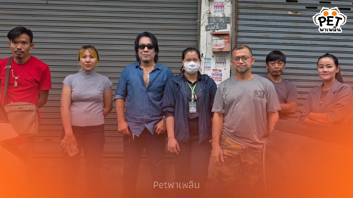 The Hope ช่วยหมาจรกว่า 30 ชีวิตติดใต้ตึกเสี่ยง งู-ตัวเงินตัวทอง The Hope ช่วยหมาจรกว่า 30 ชีวิตติดใต้ตึกเสี่ยง งู-ตัวเงินตัวทอง