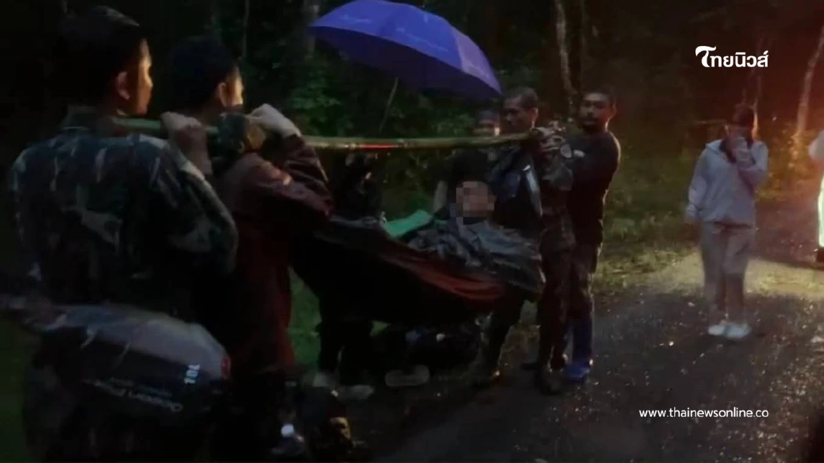 "กระทิงขวิดเจ้าหน้าที่พิทักษ์ป่า “ภูเขียว” เจ็บหนัก!" "กระทิงขวิดเจ้าหน้าที่พิทักษ์ป่า “ภูเขียว” เจ็บหนัก!"