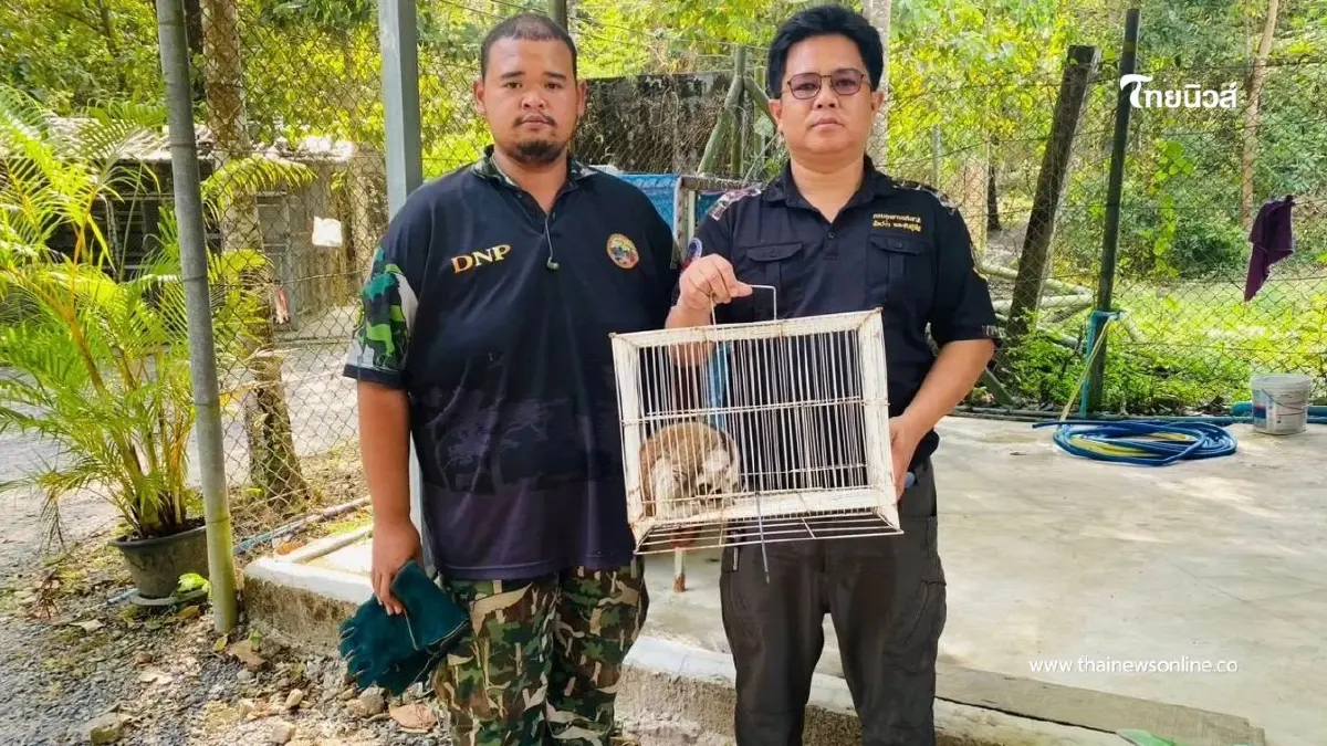รับมอบ "นางอาย" พลัดหลง ผ่านการแจ้งผ่านสายด่วนพิทักษ์ป่า 1362 รับมอบ "นางอาย" พลัดหลง ผ่านการแจ้งผ่านสายด่วนพิทักษ์ป่า 1362