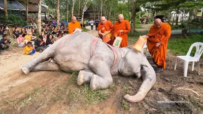 สุดอาลัย "พังสร้อยฟ้า" จากไปอย่างสงบ หลังอาการทรุดหนัก