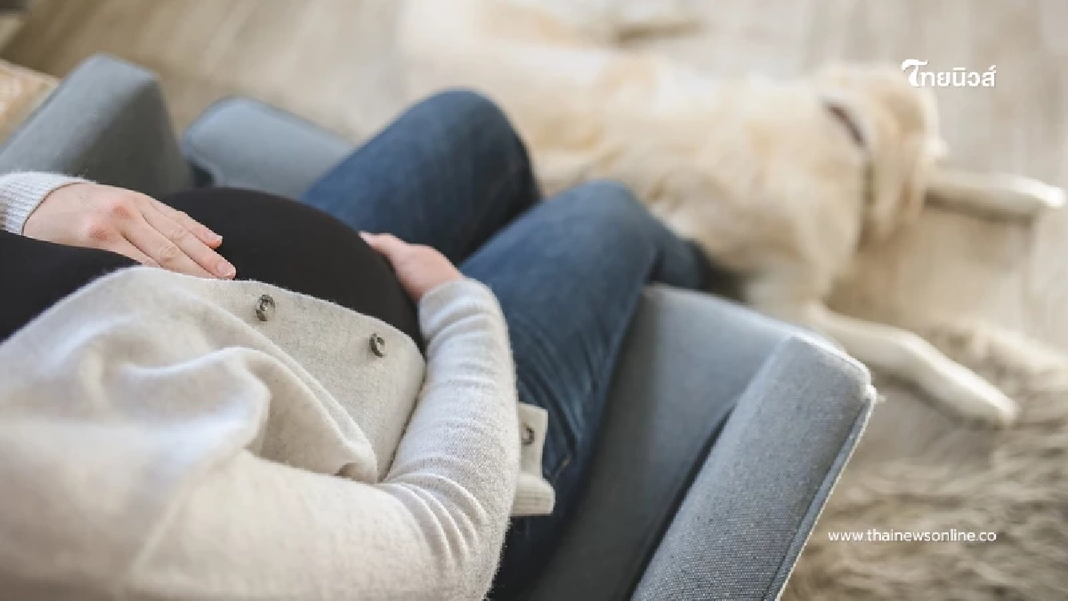 สาวยินดีเพื่อนมาอยู่ด้วย สักพักท้อง รู้ตัวพ่อเด็กยิ่งกลุ้มใจ