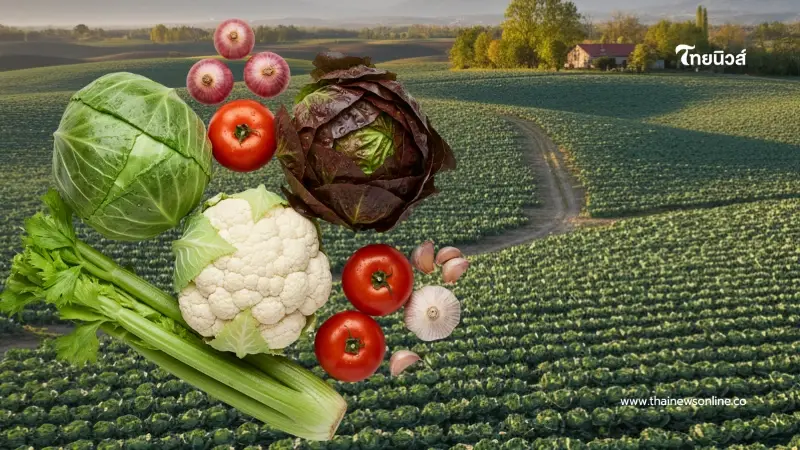 หนาวนี้ปลูกอะไรดี เปิดลิสต์ 11 "ผักทำเงิน" โตไว ทนหนาว กำไรงาม หนาวนี้ปลูกอะไรดี เปิดลิสต์ 11 "ผักทำเงิน" โตไว ทนหนาว กำไรงาม