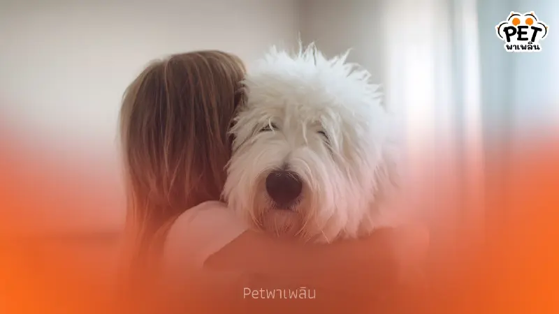 กอดหมา–แมวช่วยคลายหนาว! ผู้เชี่ยวชาญเผยประโยชน์เพียบ