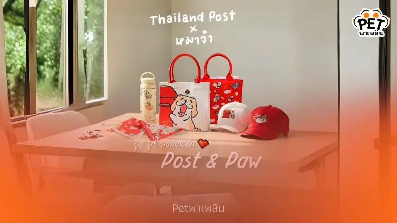 ไปรษณีย์ไทยเปิดตึกบางรักรับน้องสี่ขา พร้อมกิจกรรมจัดเต็ม ไปรษณีย์ไทยเปิดตึกบางรักรับน้องสี่ขา พร้อมกิจกรรมจัดเต็ม