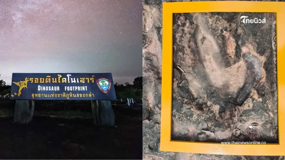 ชวนสัมผัสรอยเท้าไดโนเสาร์ และท้องฟ้า Dark Sky ที่ภูหินร่องกล้า