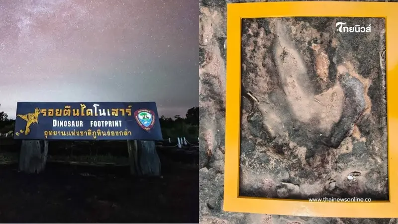 ชวนสัมผัสรอยเท้าไดโนเสาร์ และท้องฟ้า Dark Sky ที่ภูหินร่องกล้า