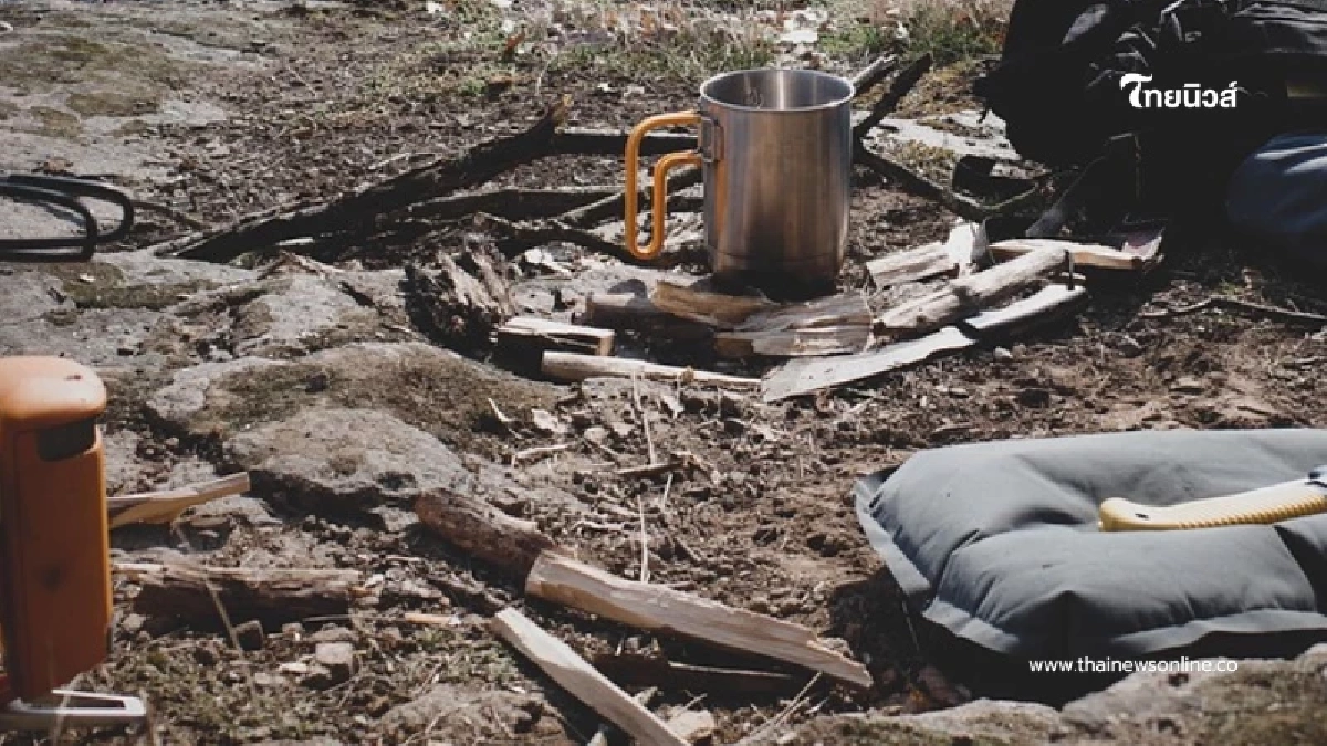 สาววัย 25 ลงแข่ง "เอาตัวรอดในป่า" อาหารช่วยชีวิต หลายคน นึกไม่ถึง สาววัย 25 ลงแข่ง "เอาตัวรอดในป่า" อาหารช่วยชีวิต หลายคน นึกไม่ถึง