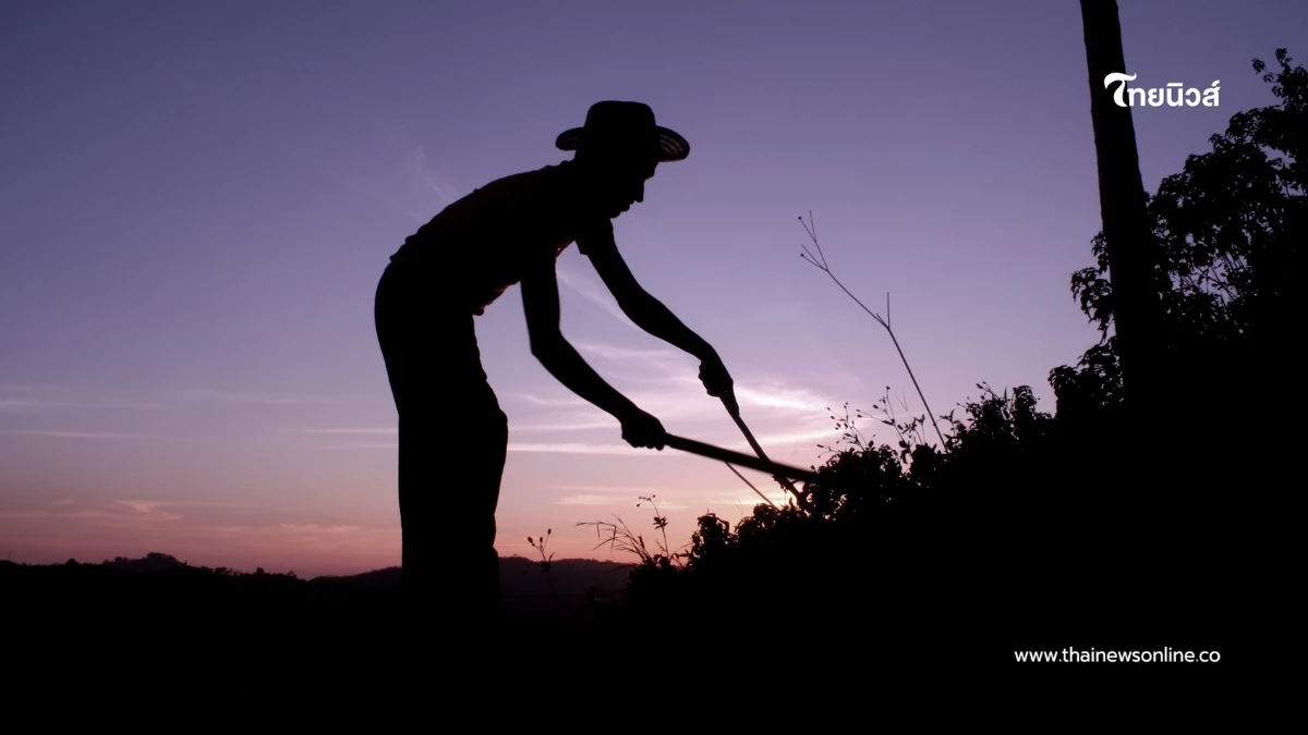 แรงงานโลกเหลื่อมล้ำ! เปิดอันดับประเทศทำงานหนักที่สุดในโลก