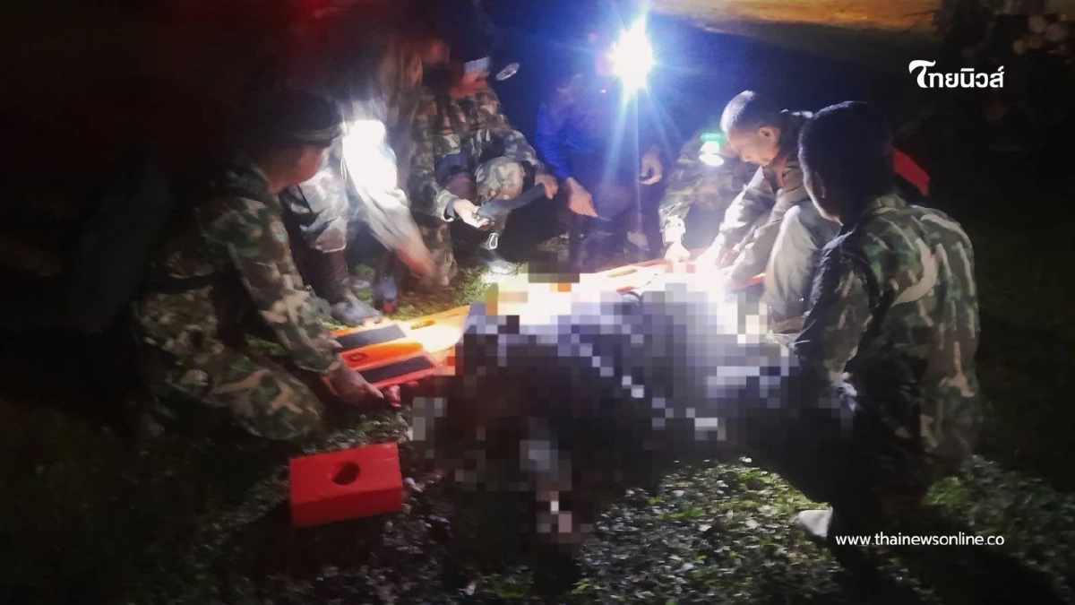 สุดเศร้า! จนท.พิทักษ์ป่าทุ่งใหญ่นเรศวรถูกช้างป่าทำร้ายดับ