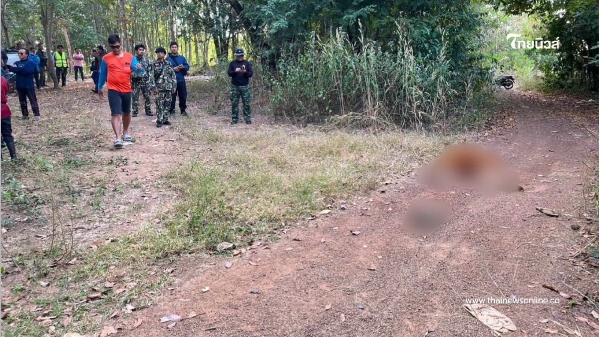 ช้างป่าทำร้ายพระมรณภาพขณะบิณฑบาต กรมอุทยานเร่งเยียวยา ช้างป่าทำร้ายพระมรณภาพขณะบิณฑบาต กรมอุทยานเร่งเยียวยา