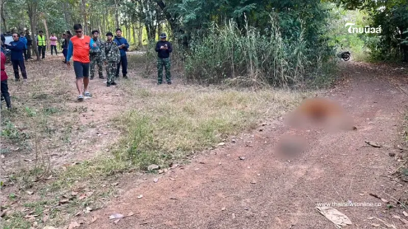 ช้างป่าทำร้ายพระมรณภาพขณะบิณฑบาต กรมอุทยานเร่งเยียวยา ช้างป่าทำร้ายพระมรณภาพขณะบิณฑบาต กรมอุทยานเร่งเยียวยา