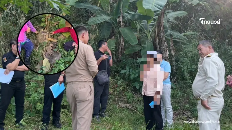 เฉลยแล้ว ตายายลำปาง ตัดต้นไม้อะไร ถึงโดนแจ้งจับ ปรับหลักแสน