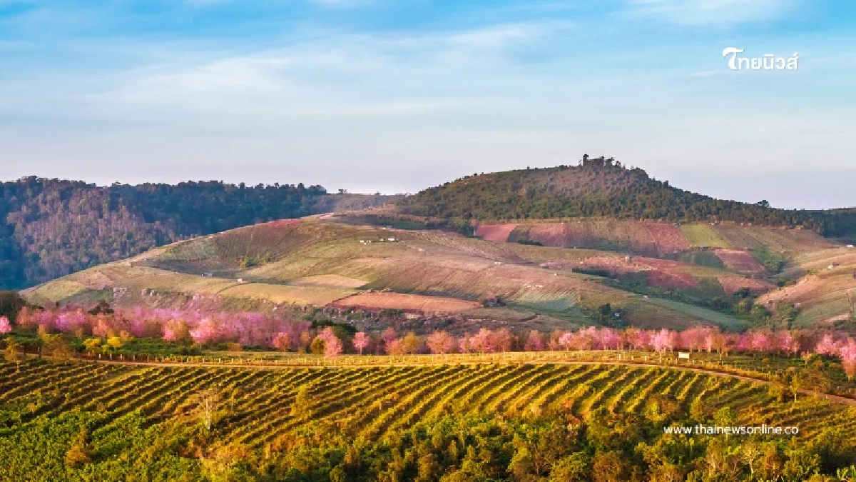 สถานที่ท่องเที่ยว ประจำเดือนมกราคม ควรเที่ยวที่ไหนดี