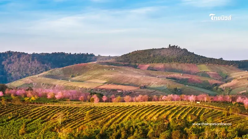 สถานที่ท่องเที่ยว ประจำเดือนมกราคม ควรเที่ยวที่ไหนดี