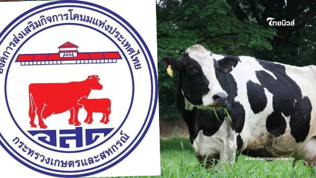 อ.ส.ค. ประกาศด่วน วิกฤตสภาพคล่อง งบ 800 ล้านชะงัก กระทบจ่ายหนี้ อ.ส.ค. ประกาศด่วน วิกฤตสภาพคล่อง งบ 800 ล้านชะงัก กระทบจ่ายหนี้