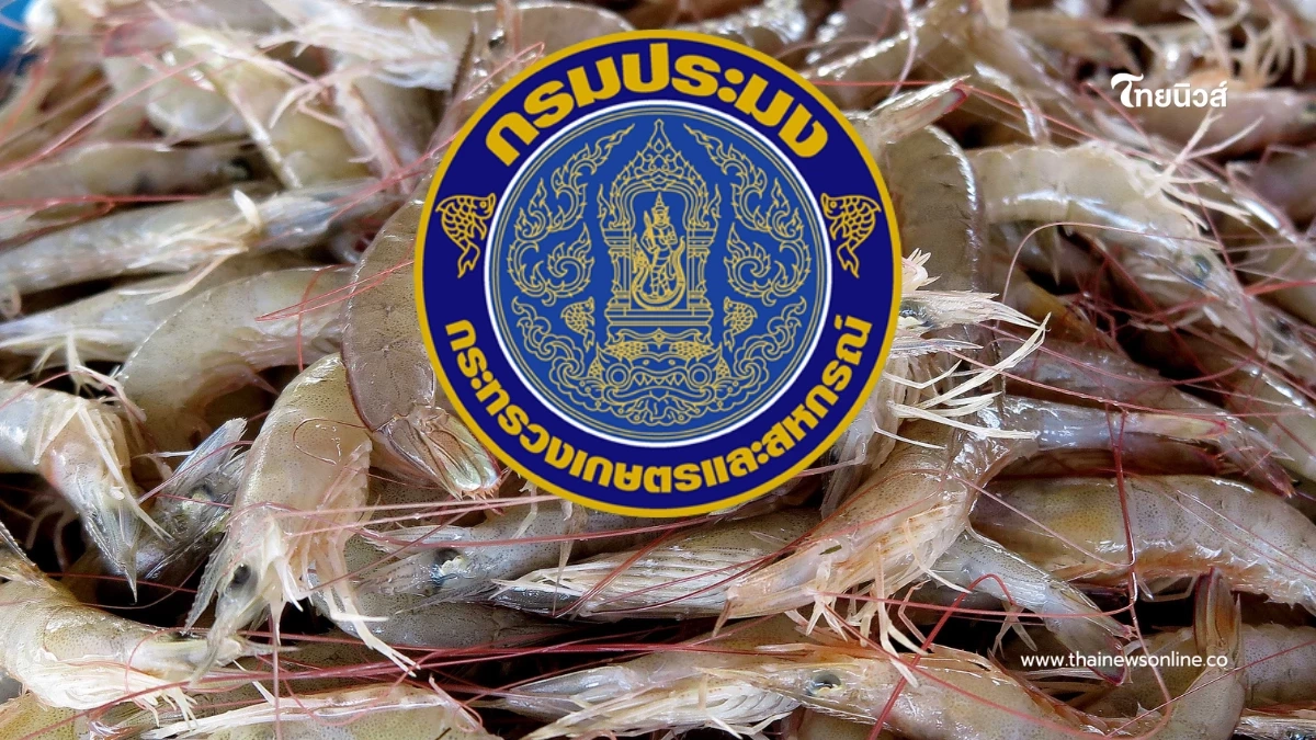 เปิดเกณฑ์เยียวยา กรมประมงจ่ายช่วยเกษตรกรน้ำท่วมภาคใต้ เช็กเลย