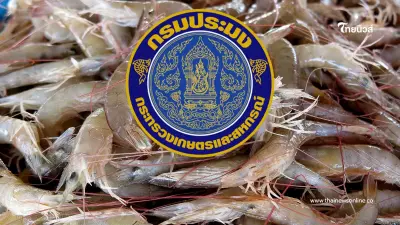 เปิดเกณฑ์เยียวยา กรมประมงจ่ายช่วยเกษตรกรน้ำท่วมภาคใต้ เช็กเลย