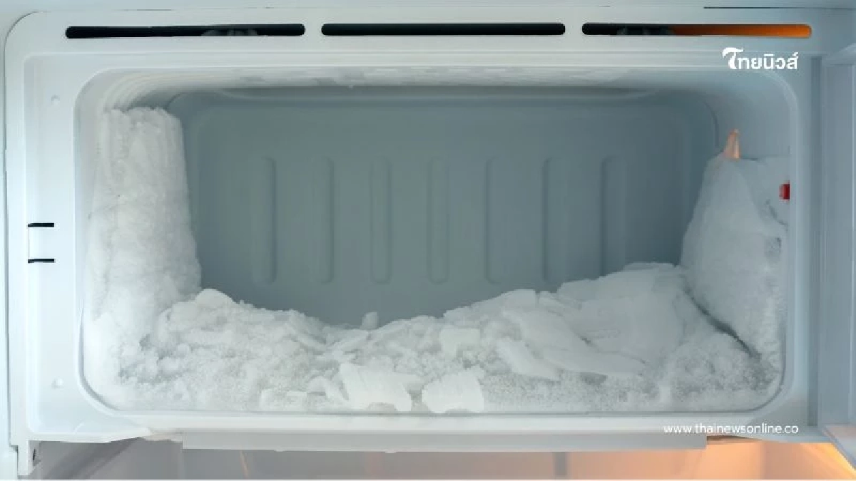 4 สิ่งที่คุณไม่ควรเอาเข้าช่องแช่แข็ง อันตรายกว่าที่คิด 4 สิ่งที่คุณไม่ควรเอาเข้าช่องแช่แข็ง อันตรายกว่าที่คิด