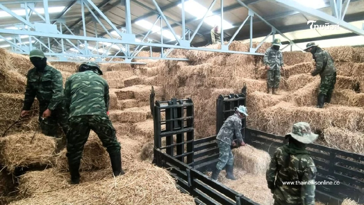 กองทัพบก โดยกรมการสัตว์ทหารบก สนับสนุนการช่วยเหลือเกษตรกร