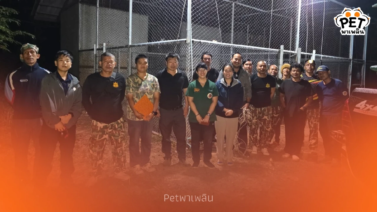 ภารกิจสำเร็จ ส่งหมี 3 ตัว-สิงโต 2 ตัว สู่ศูนย์พักพิงปลอดภัย
