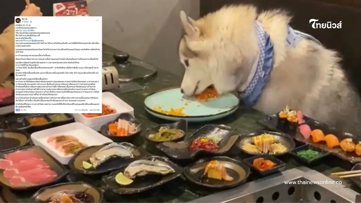 ร้านดัง แจงดราม่าสุนัขนั่งกินบุฟเฟต์ร่วมโต๊ะ งานนี้ชัดเจน ร้านดัง แจงดราม่าสุนัขนั่งกินบุฟเฟต์ร่วมโต๊ะ งานนี้ชัดเจน