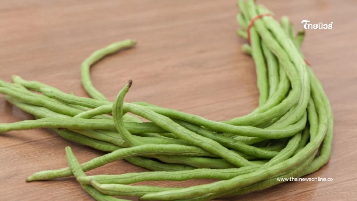 ผักสด ยิ่งสด ยิ่งดี จริงหรือ เตือนคนลำไส้ไว กินผิดชนิดไหนระวังท้องอืด