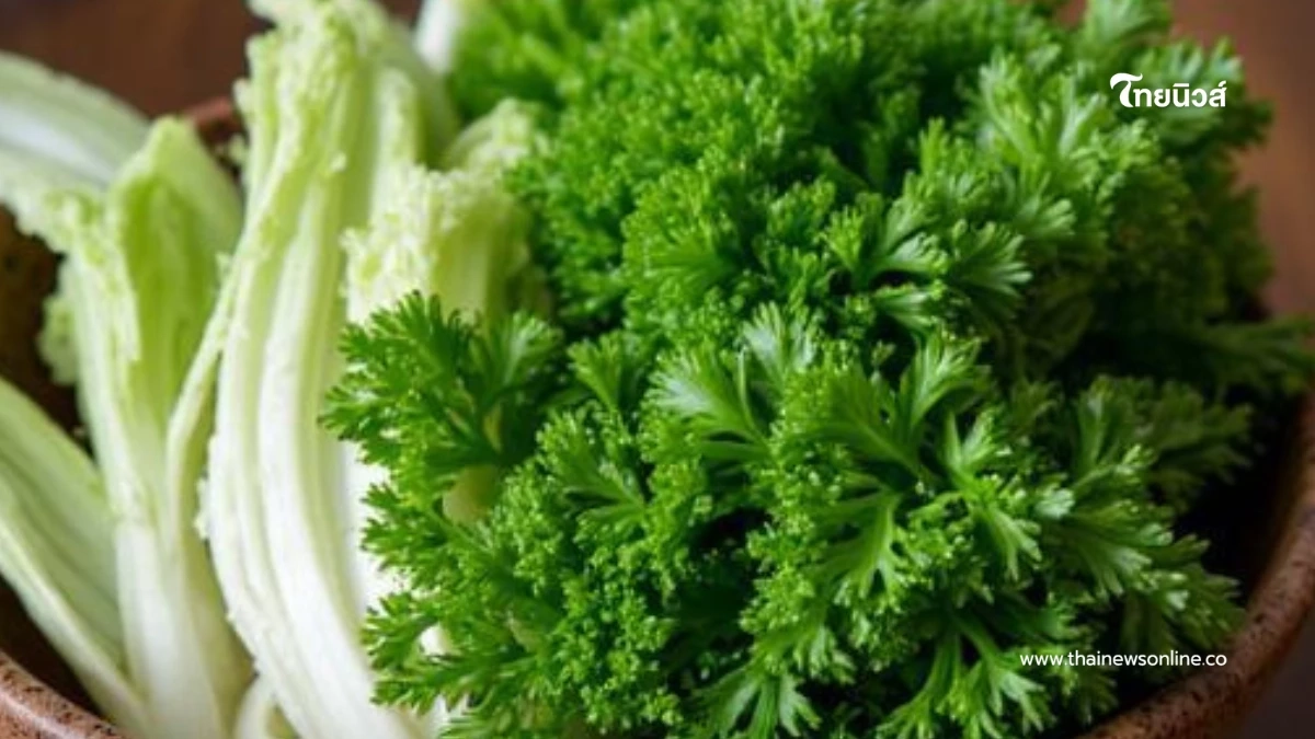 10 ผักสดพยาธิเยอะ ล้างให้ดีก่อนกิน ไม่งั้นระวังได้ของแถม