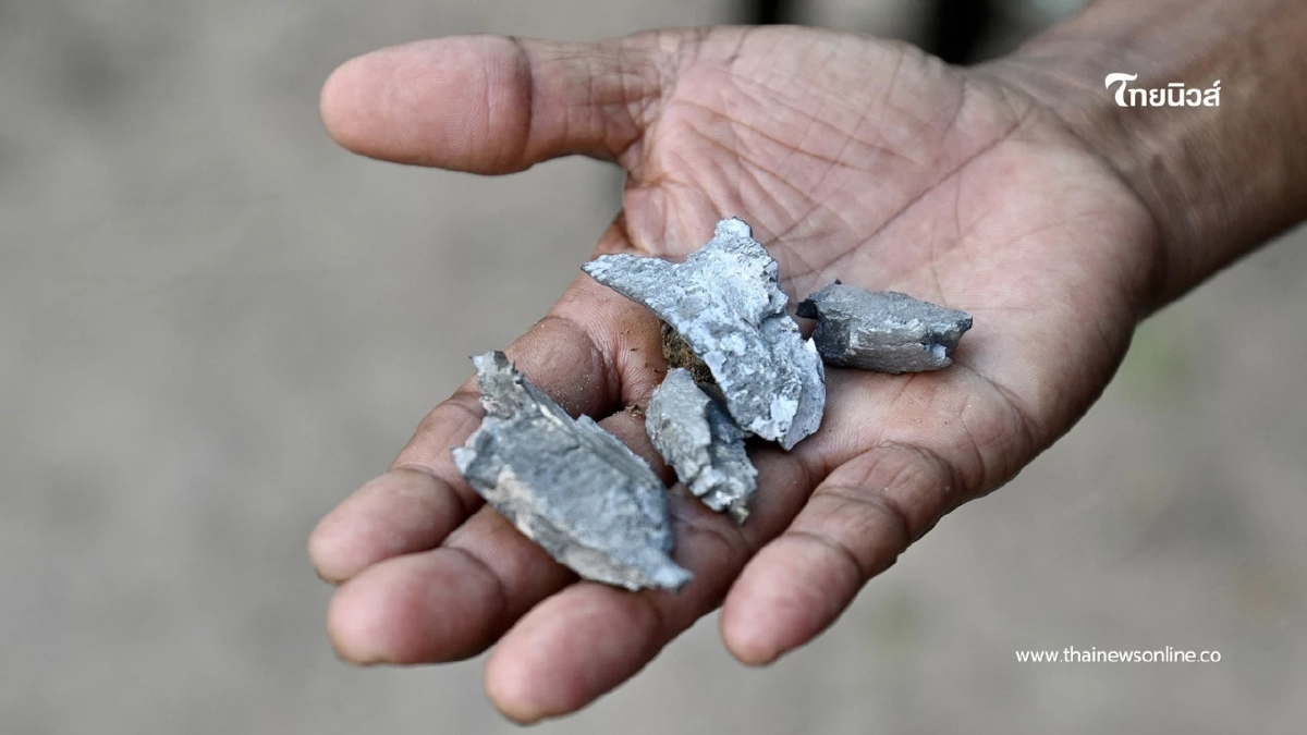 กระสุนปืนใหญ่ข้ามแดน วัวดับ 2 ตัว ชาวบ้านชำแหละแจกจ่าย กระสุนปืนใหญ่ข้ามแดน วัวดับ 2 ตัว ชาวบ้านชำแหละแจกจ่าย