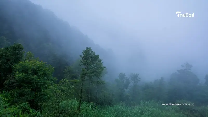 พยากรณ์อากาศวันนี้ ไทยตอนบนอุณหภูมิลดลง 1-3 องศาฯ ใต้มีฝนหนัก พยากรณ์อากาศวันนี้ ไทยตอนบนอุณหภูมิลดลง 1-3 องศาฯ ใต้มีฝนหนัก