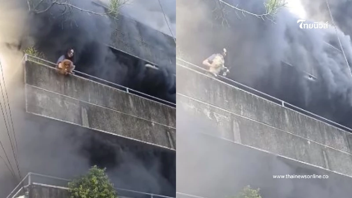 ไฟไหม้รุนแรง แต่หญิงสาวไม่ยอมหนี ต้องช่วยสุนัขให้ครบก่อน ไฟไหม้รุนแรง แต่หญิงสาวไม่ยอมหนี ต้องช่วยสุนัขให้ครบก่อน