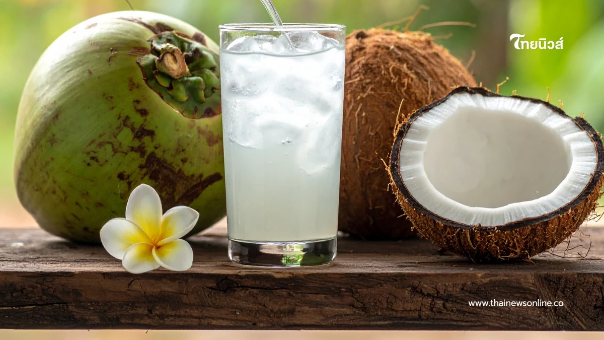 รู้ก่อนดื่ม น้ำมะพร้าว เครื่องดื่มจากธรรมชาติ ดูแลสุขภาพรอบด้าน รู้ก่อนดื่ม น้ำมะพร้าว เครื่องดื่มจากธรรมชาติ ดูแลสุขภาพรอบด้าน