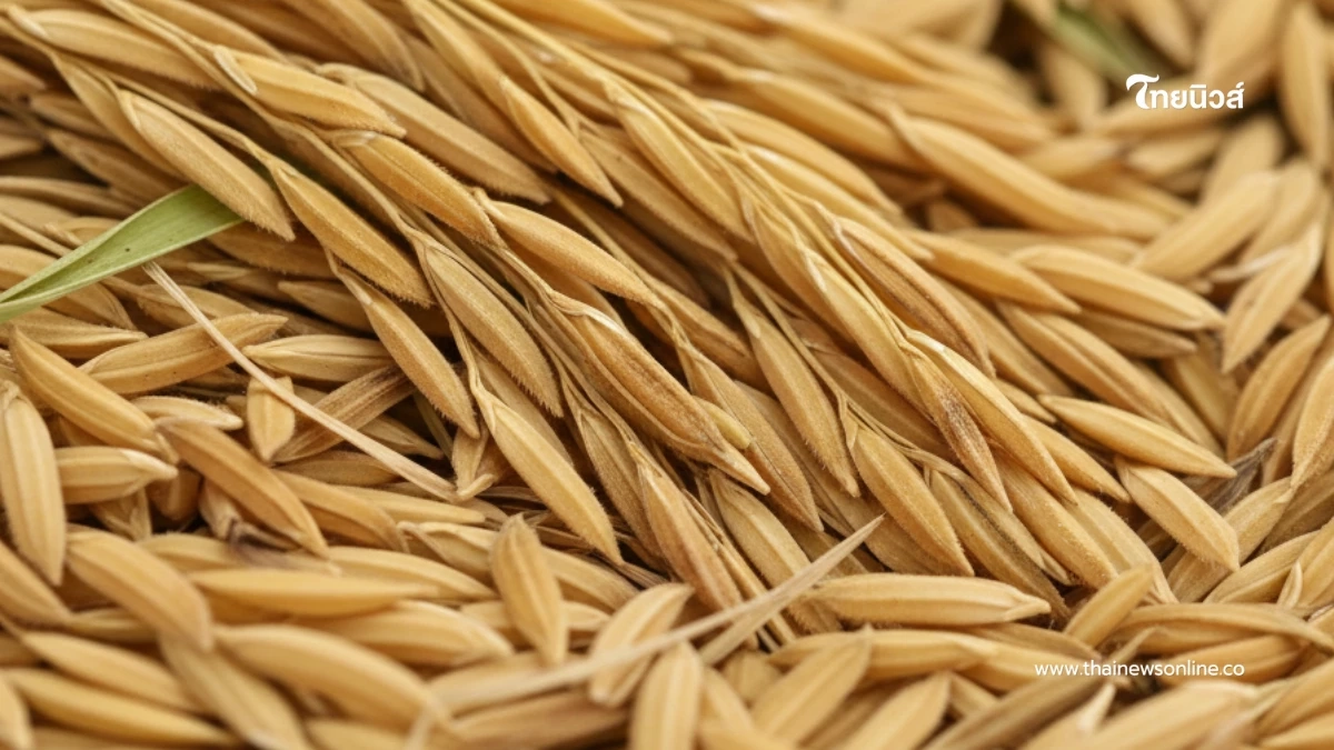 ไทยประกาศศักดา พลิกเกมข้าว ดัน "ข้าวประณีต" เจาะตลาดพรีเมียมโลก